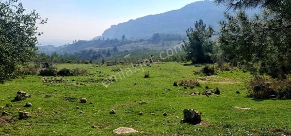 MEZİTLİ CEMİLLİ KÖYÜ MERSİNE 8KM UZAKLIK PANAROMİK MERSİN MANZARALI 3800M2 ARAZİ YOLA SIFIR