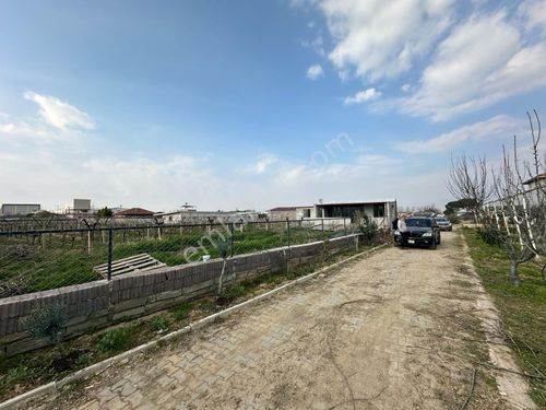 Manisa Alaşehir LİDYA GROUP'dan Baklacıda Tariş arkasında prefabrik ev 5 dönüm satılık bağ 