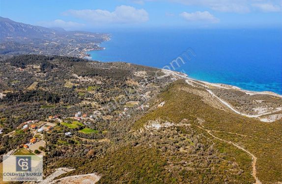 İzmir Karaburun Eğlenhoca'da Deniz Manzaralı Satılık Arazi