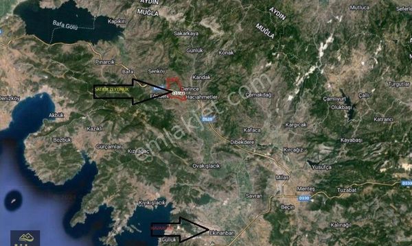LİDER'DEN Muğla Milas-İzmir Karayoluna Cepheli Satılık Zeytinli Tarla