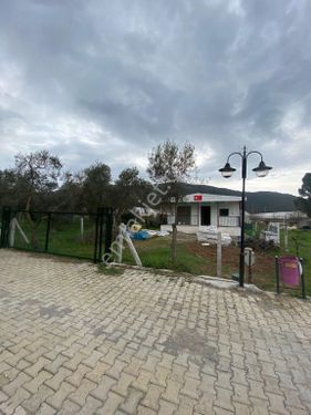 Sahibinden Tapulu Bahçe 300m2 Rızai Taksimli