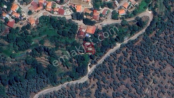  Milas/Göldere'de Köy İçinde Üzerinde Ev Bulunan Bahçe (Köyiçi İmarlı)