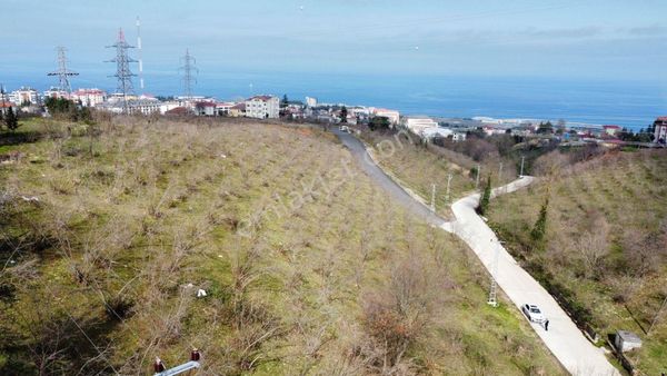  Trabzon 1.Nolu Bostancıda Ktü Üstünde İmarlı Arsa