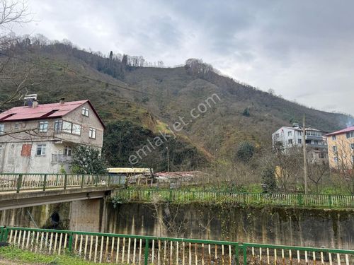 HASAN HÜSEYİN İNANÇ GAYRİMENKULDEN SATILIK 20 DÖNÜM GİRESUN ERİKLİMAN KÖYÜNDE İMARLI BAHÇE