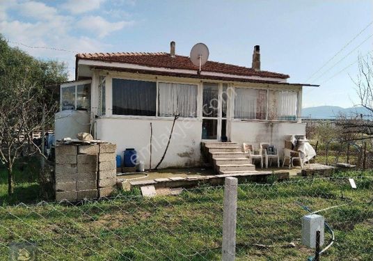 İzmir selçuk merkeze yürüme mesafesinde 1000 M2 içerisinde satılık  müstakil ev
