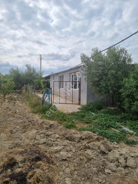Manisa Saruhanlı Kepenekli Köyünde Yola Sıfır Satılık Tarla - Bağ Evi