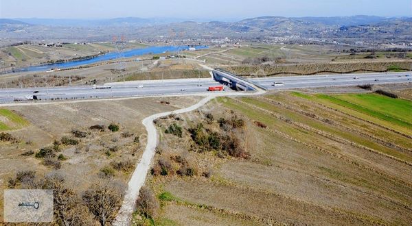 Kuzey Marmara Otoyolu Manzaralı Yatırımlık Kaçırılmayacak Tarla