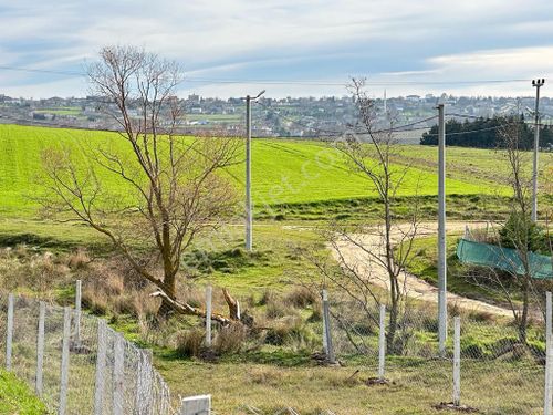 TEKİRDAĞ MARMARA EREĞLİSİ ÇEŞMELİ'DE DENİZE YAKIN BAĞ EVİ YAPIMINA UYGUNDUR KELEPİR 