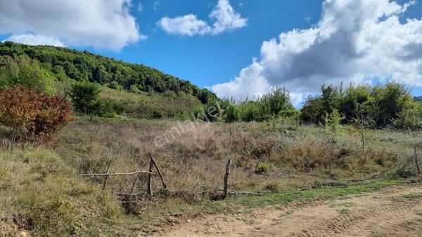  Ağva Geredeli Yumuşak Köy -Yağcılar Sınırında 1.705 M2 Ceviz Bahçesi