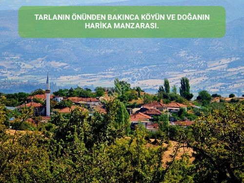 Köyün 500 metre üstünde, 3.085 m2 Tarla. Manisa Demirci Bayramşahda. Detaylar Açıklamada Yazmaktadır