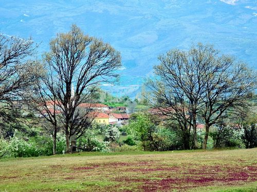 Bayramşah Köyüne 500 metre, Yola Yakın Köy Doğa Manzaralı, 1.967 m2 Güzel Tarla. Detaylar Açıklamada