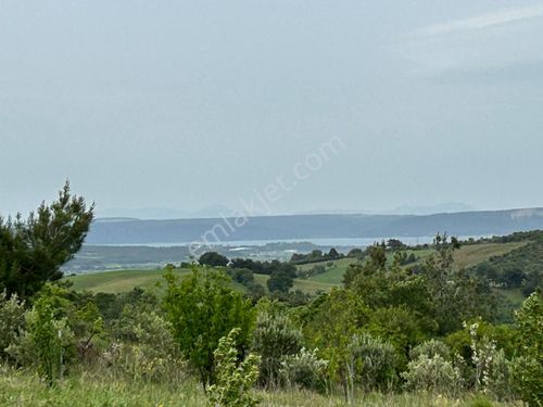 ÇANAKKALE MERKEZ AŞAĞIOKÇULAR'DA YOL CEPHELİ KONTEYNERLİ TARLA