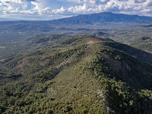  Torbalı | Dirmil Köy'ünde 16 Dönüm Yatırıma Uygun Satılık Arazi