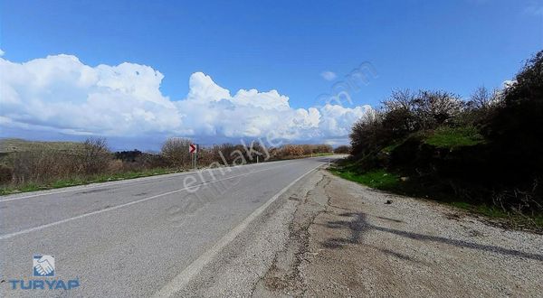 Turyap Dikili'den Esentepe de asfalt yola sıfır tarla satılıktir