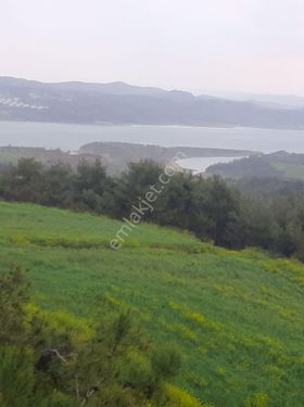 Çukurova Kabasakal Mahallesi göl manzaralı 500 metre müstakil yapılabilir arsa satılık