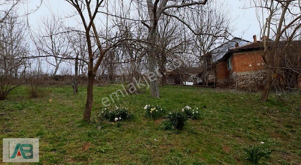 Bursa İnegöl'de Satılık Köy Evi Müştemilatı ve Bahçesi