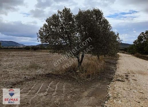 Kırkağaç İlyaslarda 3237 Metre Tek Tapu Kadastro Yolu Mevcut