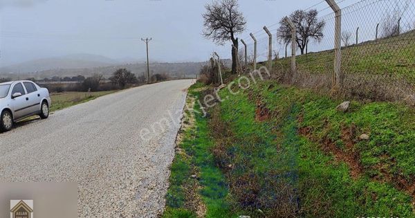 çanakkale Ezine sarısöğüt köyünde 18.400 m2 yatırımlık arazi
