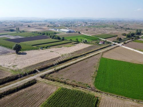  ERA SÖZ DEN BALIKESİR ATKÖY MAHALLESİ SATILIK TARLA