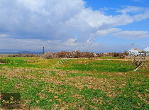 Gelibolu Bolayır'da Çaplı Muvaffakatli Satılık Bağ Vasıflı Arazi