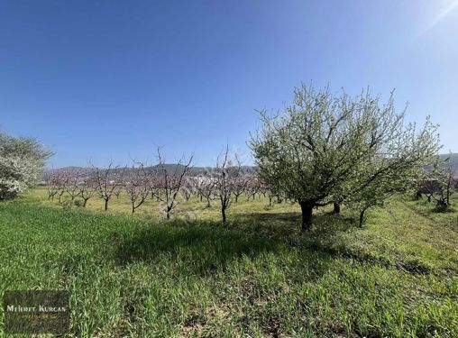 MEHMET KURCAN GAYRİMENKUL'DEN TAHTALI'DA SATILIK 1424 M2