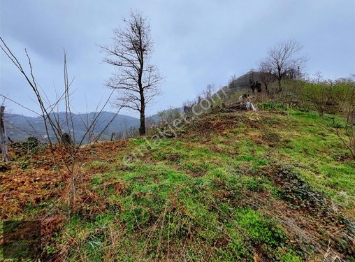 Kuyluca Köy. Çiftlik yapımına uygun Elektirik Suyu Olan arazi