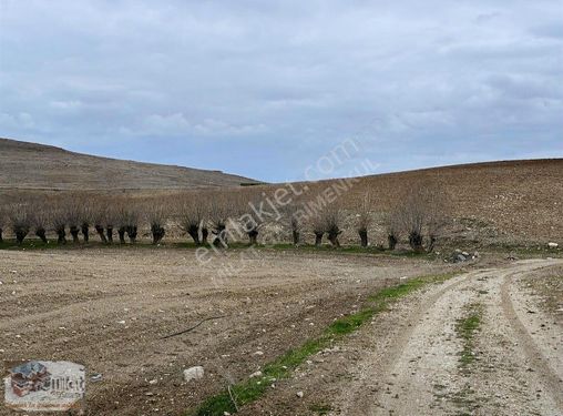 HAVALİMANI VE İMAR YAKINI BAĞLAR DA HİSSE