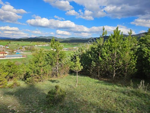 BOLU Mudurnu Gürçam köyünde satılık tarla