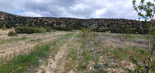  BURDUR'UN YÜKSELEN DEĞERİ İLYAS'TA 2000m2  TARLA 