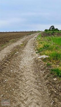 SÖĞÜTLÜ SIRAKÖY RESMİ YOLLU İMAR SINIRINDA