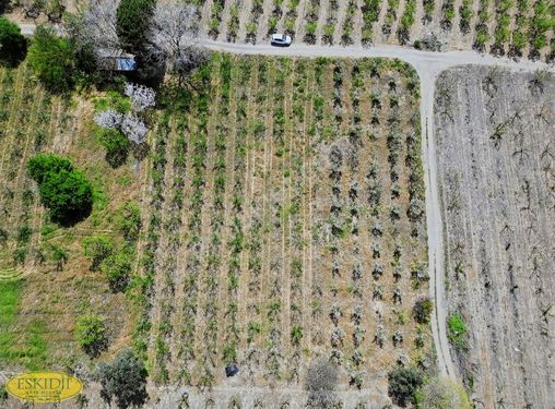 Çanakkale umurbeyde 1915 köprüsüne 2km tarlamız satılıktır