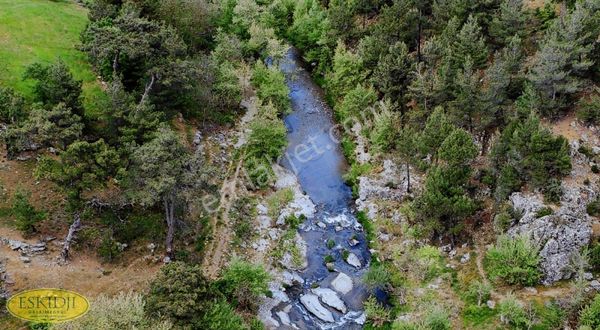 ÇANAKKALE BAYRAMİÇ SERHATKÖYÜ SATILIK DERE KENARI TARLA