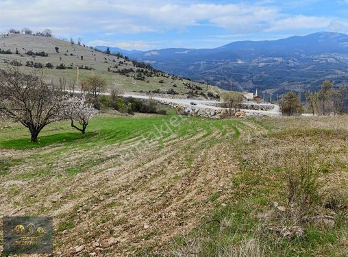 ÖZCAN ÇİFTCİ'DEN KÖY DİBİNDE YOLA CEPHE MANZARALI FIRSAT ARAZİ