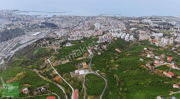 TRABZON ORTAHİSAR BOSTANCI SATILIK ARSA /// BHGRE LUNA GM