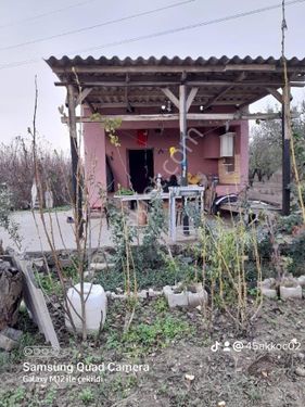 Manisa Turgutlu satılık arazi 