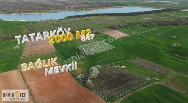 TATARKÖY BAĞLIK MEVKİİ SATILIK ARSA 2000 M2 LÜLEBURGAZ