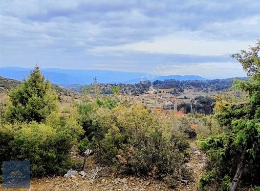 Muğla Menteşe Günlüce Satılık Tarla