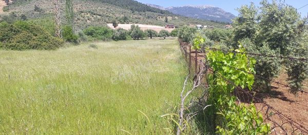 ES EMLAK'TAN DAĞKIZILCA'DA 2.500m2 YOLU OLAN, ELEKTRİK SU YAKIN YATIRIMLIK, MUHTEŞEM ARAZİ SATILIK