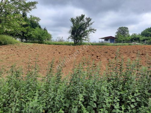  İzmit Sapakpınar Mahallesi'nde Satılık Konut İmarlı Arsa