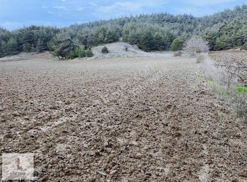 ÇANAKKALE ECEABAT BÜYÜKANAFARTA SATILIK TARLALAR