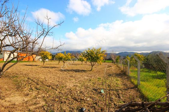  🌹AKTİF'TEN BÖREZLİ'DE 1.261 M2 İÇERİSİNDE MEYVE AĞAÇLARI OLAN MÜKEMMEL SATILIK TARLA🌹