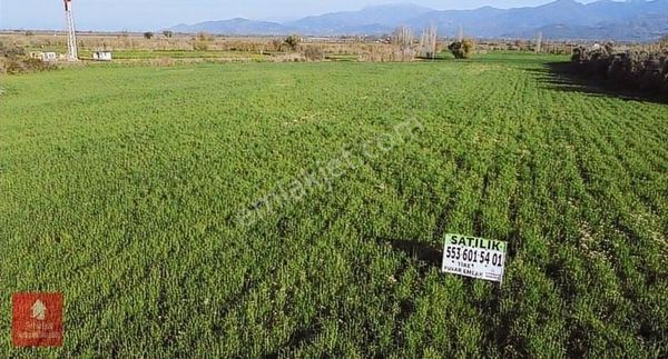 İzmir Ödemiş Duble Yoluna Cepheli Satılık Tarla