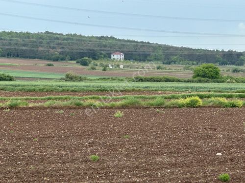 4 dönüm tek tapu tarla satılık