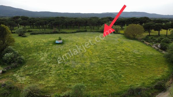 KALE GAYRİMENKULDEN BERGAMA YUKARIBEY MH SATILIK 17.000m2 FIRSAT TARLA