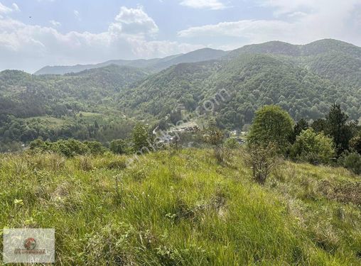 SAPANCA AKÇAY DOĞA HARİKASI YATIRIMLIK SATILIK ARAZİ