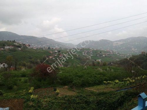  trabzon ortahisar gündoğdu da 4 dönüm köy içi satılık arazi