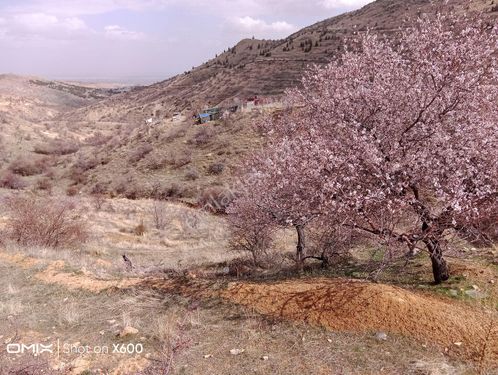 SELÇUKLU,SULUTAS MAH. 3,006m2 YOL KENARI DOĞA MANZARALI SATILIK BAĞ