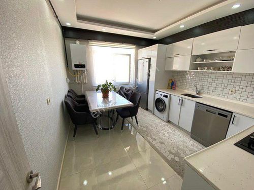 shibinden kiralık direm