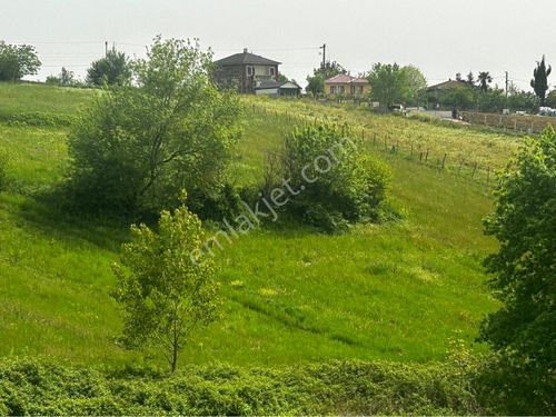 TEK TAPU EVLERİN DİBİNDE ANA YOLA ÇOK YAKIN