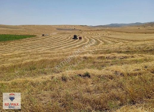 Polatlı Güreş Köyü 108 Ada 611 Parsel 29.683 Metre Tek Tapu